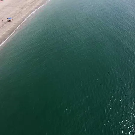 Marina Rey